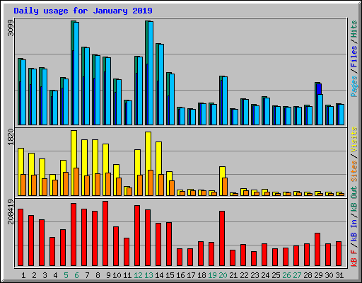 Daily usage for January 2019