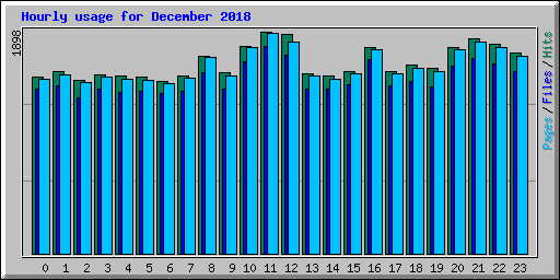 Hourly usage for December 2018
