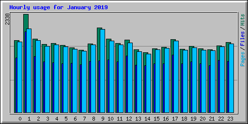 Hourly usage for January 2019
